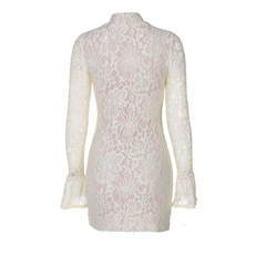 Elegantes Spitzenkleid mit langen Ärmeln